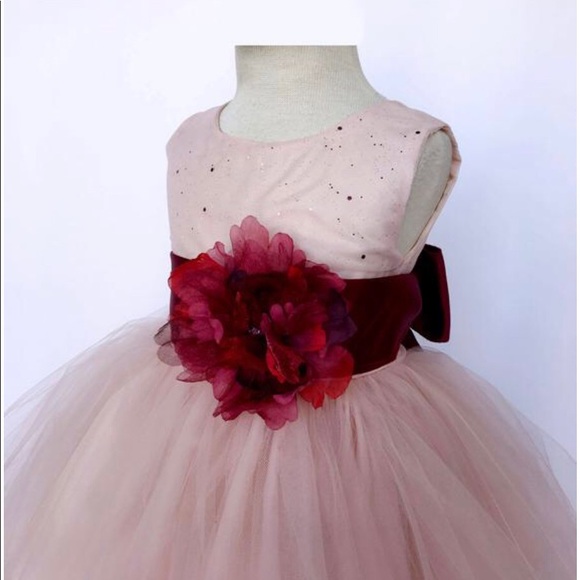 Blush Pink Maroon Sash Girls Dress - Picture 2 of 5